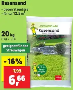 Thomas Philipps GRÜNER JAN Rasensand Angebot