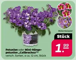NETTO Petunien oder Mini-Hängepetunien „Calibrachoa“ Angebot