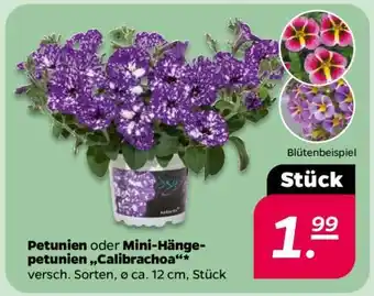 NETTO Petunien oder Mini-Hängepetunien „Calibrachoa“ Angebot