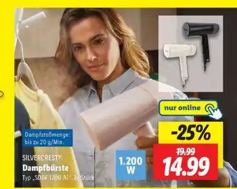 Lidl SILVERCREST Dampfbürste Angebot