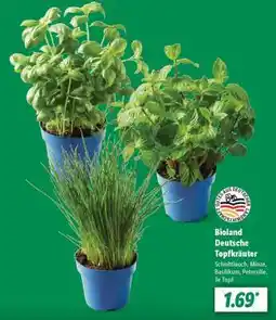 Lidl Bioland Deutsche Topfkräuter Angebot