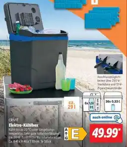 Lidl Elektro-Kühlbox Angebot