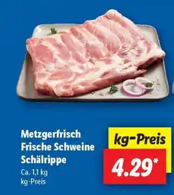 Lidl Metzgerfrisch Frische Schweine Schälrippe Angebot