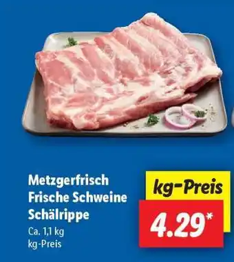 Lidl Metzgerfrisch Frische Schweine Schälrippe Angebot