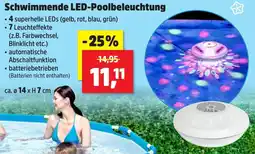 Thomas Philipps Schwimmende LED-Poolbeleuchtung Angebot