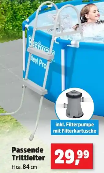 Thomas Philipps Passende Trittleiter Angebot