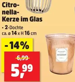 Thomas Philipps Citronella Kerze im Glas Angebot