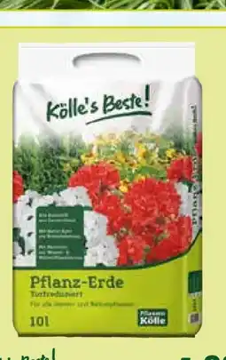 Pflanzen Kölle Kölle's Beste Pflanz-Erde Torfreduziert Angebot
