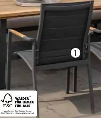 Pflanzen Kölle ScanCom Alu-Stapelsessel Espoo Angebot