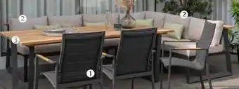 Pflanzen Kölle ScanCom Dining-Bank Palau Angebot