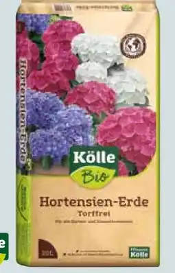Pflanzen Kölle Kölle's Bio Hortensien-Erde-Torffrei Angebot