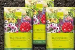 Pflanzen Kölle Kölle Blumenerde Angebot