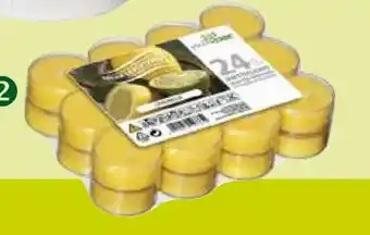 Pflanzen Kölle VillaVerde Duftteelichter Angebot