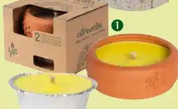 Pflanzen Kölle Kerze in Terrakottaschale Angebot