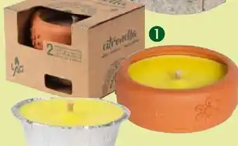 Pflanzen Kölle Kerze in Terrakottaschale Angebot