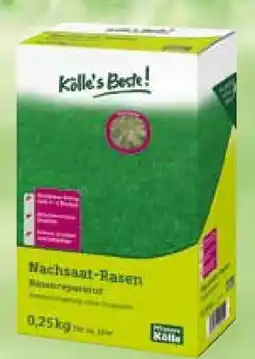 Pflanzen Kölle Kölle's Beste Rasen-Nachsaat Angebot