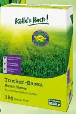 Pflanzen Kölle Kölle's Beste Trocken-Rasen Angebot
