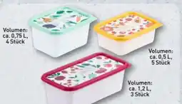 Aldi Nord Crofton Tiefkühldosen-Set Angebot