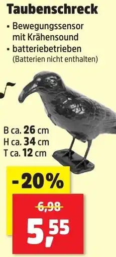Thomas Philipps Taubenschreck Angebot