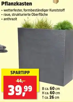 Thomas Philipps Pflanzkasten Angebot