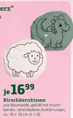 Pflanzen Kölle Kirschkernkissen Angebot