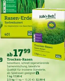Pflanzen Kölle Kölle's beste! trocken-rasen Angebot