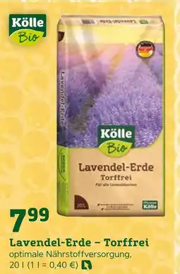 Pflanzen Kölle Kölle bio lavendel-erde – torffrei Angebot