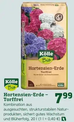 Pflanzen Kölle Kölle bio hortensien-erde – torffrei Angebot