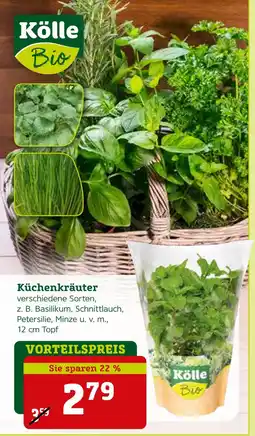 Pflanzen Kölle Kölle bio küchenkräuter Angebot