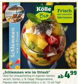 Pflanzen Kölle Kölle bio schlemmen wie im urlaub Angebot