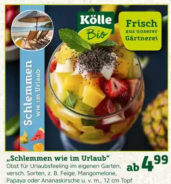 Pflanzen Kölle Kölle bio schlemmen wie im urlaub Angebot
