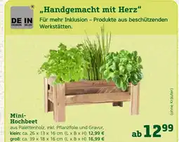 Pflanzen Kölle Mini-hochbeet Angebot