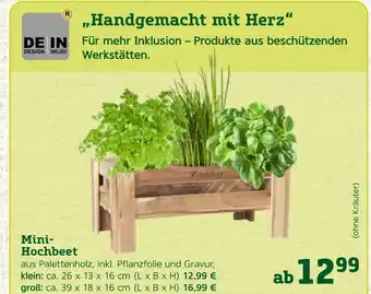 Pflanzen Kölle Mini-hochbeet Angebot