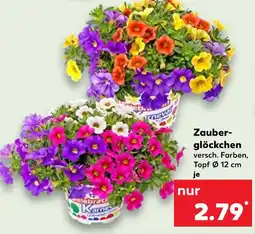 Kaufland Zauberglöckchen Angebot
