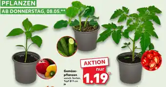 Kaufland Gemüsepflanzen Angebot