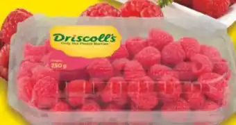 E-Center Driscoll's Himbeeren Angebot