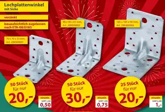 Sonderpreis Baumarkt Lochplattenwinkel mit Sicke Angebot