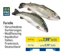 METRO Forelle Angebot
