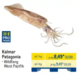 METRO Kalmar Patagonia Angebot