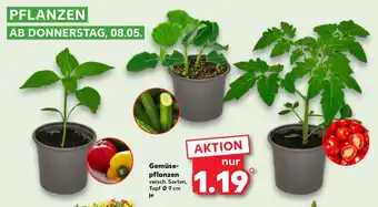 Kaufland Gemüse- pflanzen Angebot