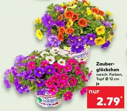 Kaufland Zauber- glöckchen Angebot
