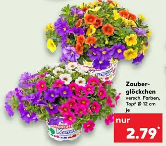 Kaufland Zauber- glöckchen Angebot