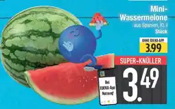 E-Center Mini- Wassermelone Angebot