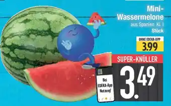 E-Center Mini- Wassermelone Angebot