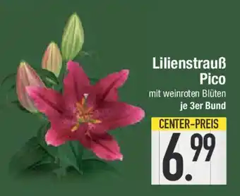 E-Center Lilienstrauß Pico Angebot