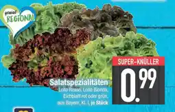 E-Center Salatspezialitäten Angebot