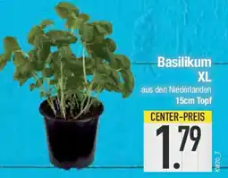 E-Center Basilikum XL Angebot