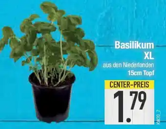 E-Center Basilikum XL Angebot