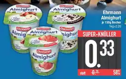 E-Center Ehrmann Almighurt Angebot