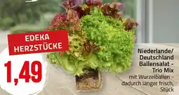 Ihr Frischmarkt Niederlande/ Deutschland Ballensalat - Trio Mix Angebot